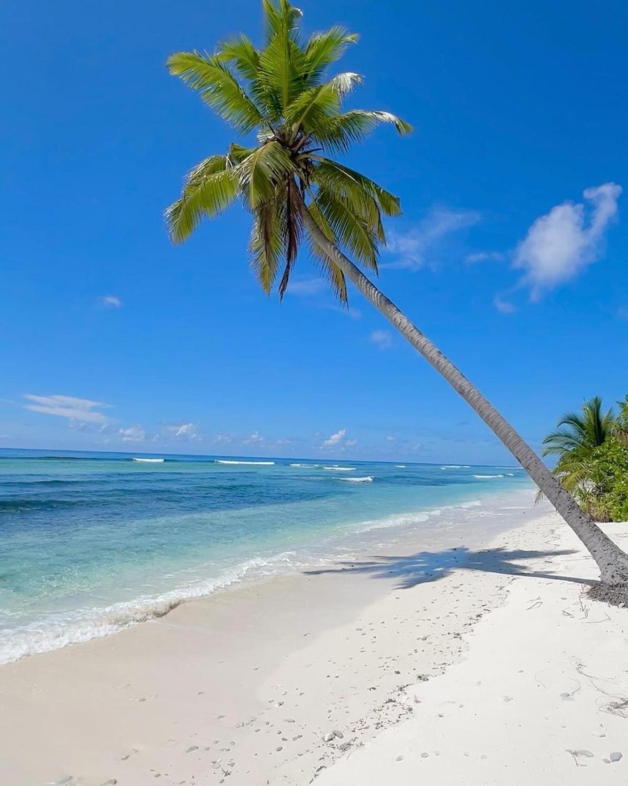 Charming Holiday Lodge- Addu Atoll Meedhoo, Maldives Dış mekan fotoğraf
